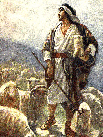 Lessons From a&nbsp;Shepherd