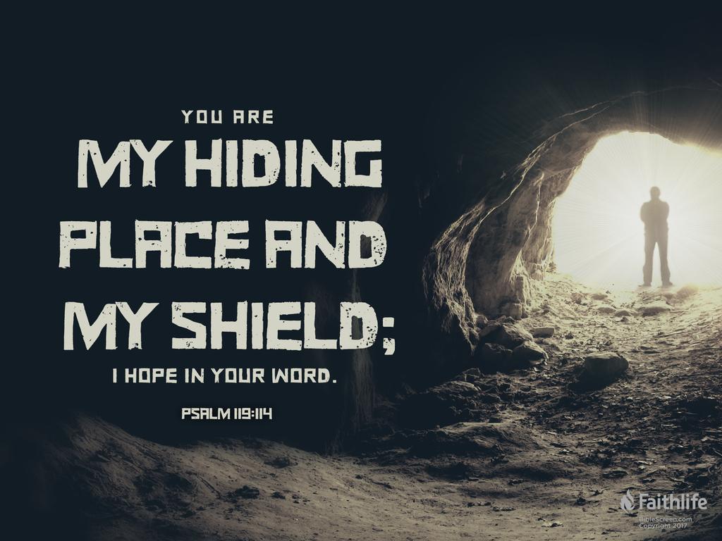 Hold Me Up, I Shall Be&nbsp;Safe