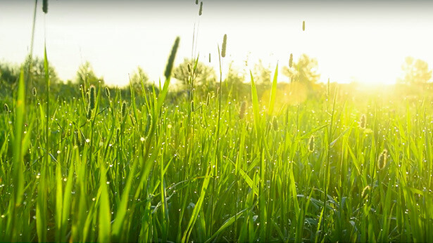 almighty-god-gave-me-a-second-life