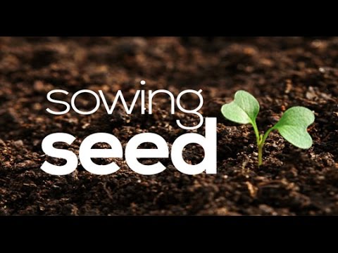 Jesus Sowed the Seed of the Living&nbsp;Word