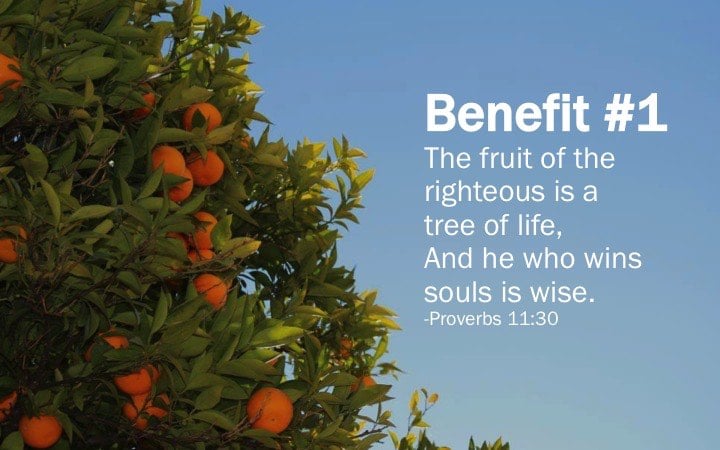 Are You a Tree of&nbsp;Life