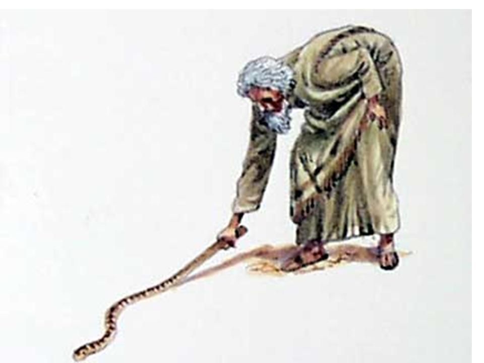 What if They Will Not&nbsp;Believe